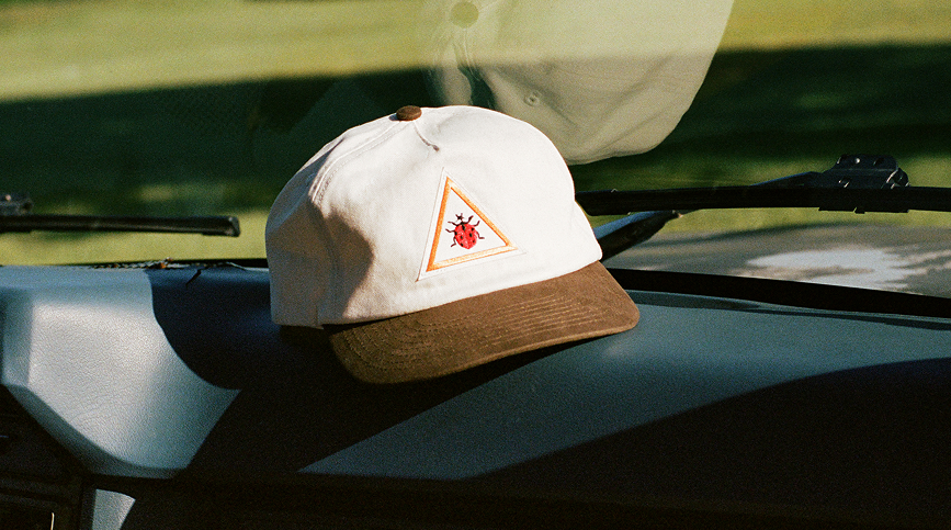 Ladybug Hat